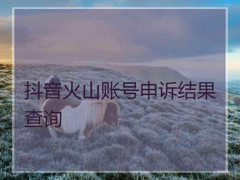 抖音火山账号申诉结果查询
