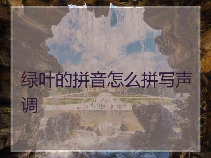 绿叶的拼音怎么拼写声调