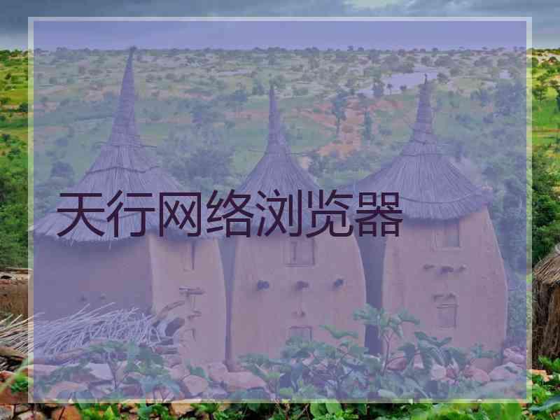 天行网络浏览器