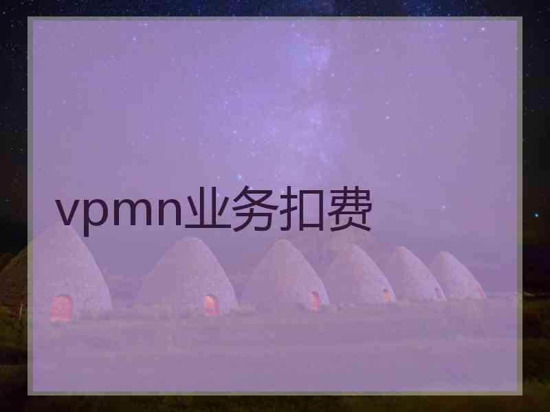 vpmn业务扣费