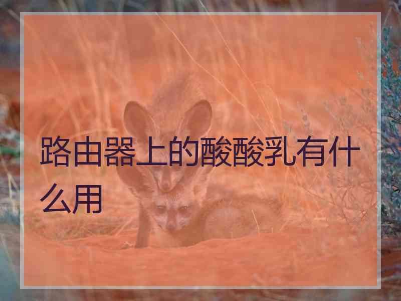 路由器上的酸酸乳有什么用