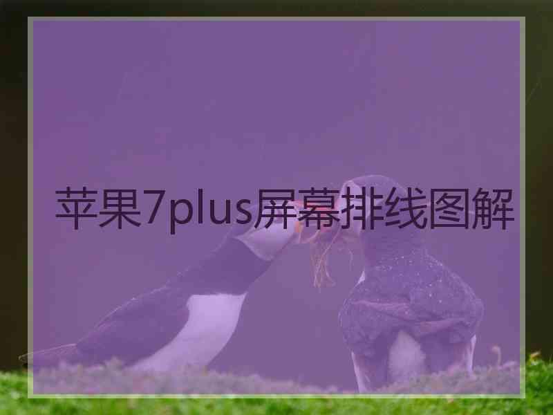 苹果7plus屏幕排线图解