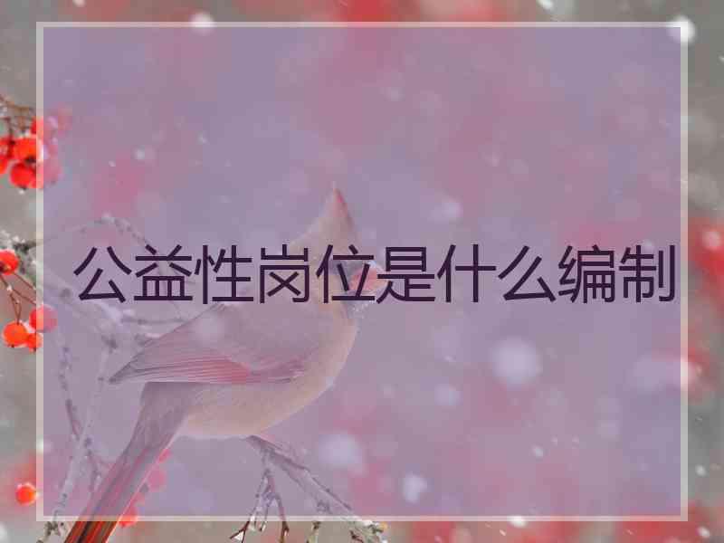 公益性岗位是什么编制