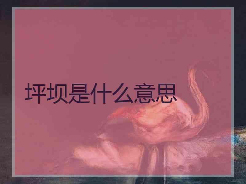 坪坝是什么意思