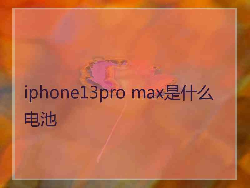 iphone13pro max是什么电池