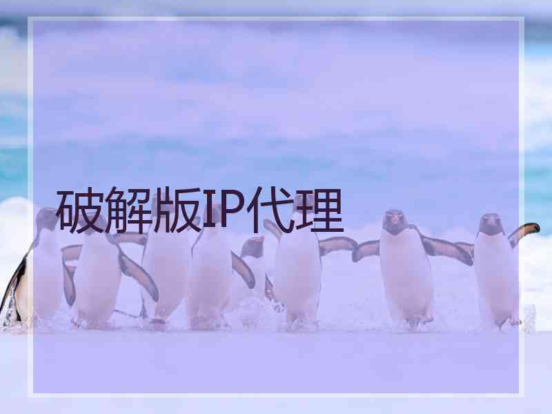 破解版IP代理