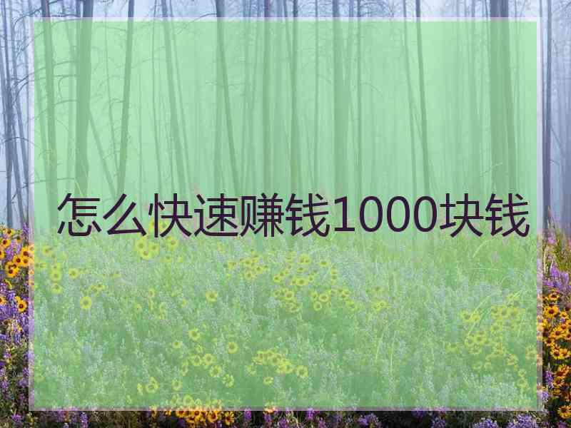 怎么快速赚钱1000块钱