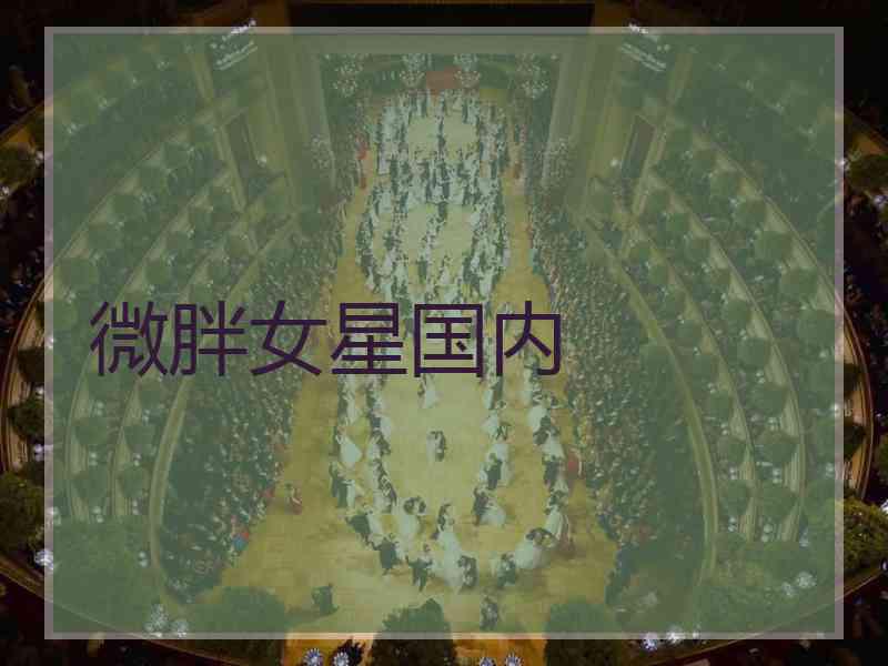 微胖女星国内