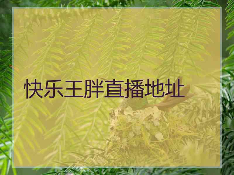 快乐王胖直播地址