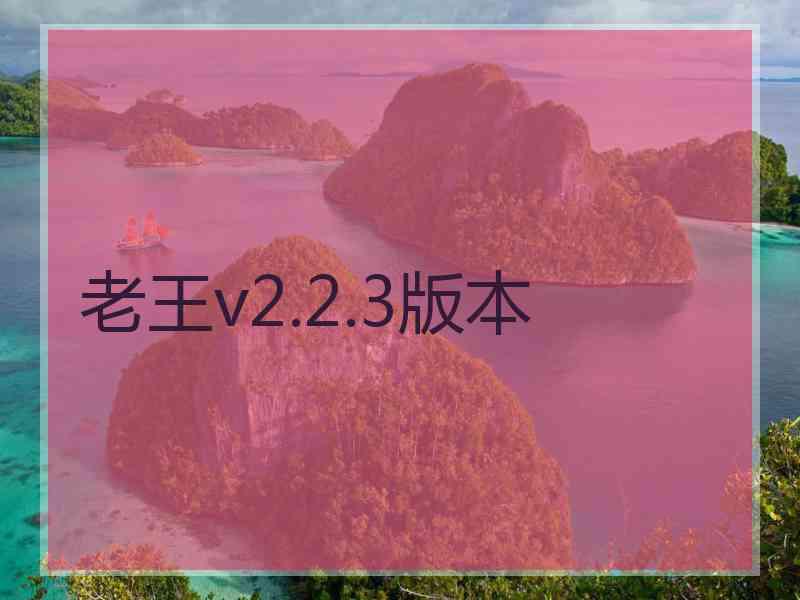 老王v2.2.3版本
