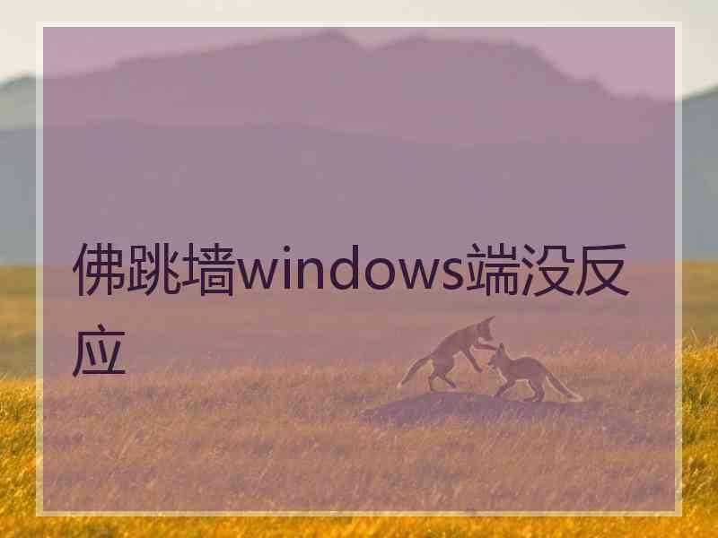 佛跳墙windows端没反应