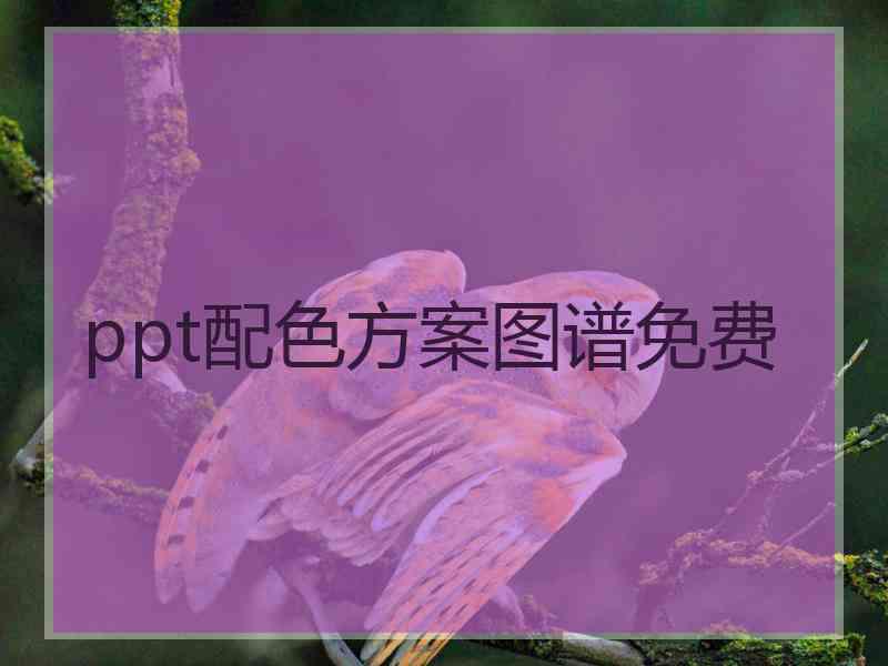 ppt配色方案图谱免费