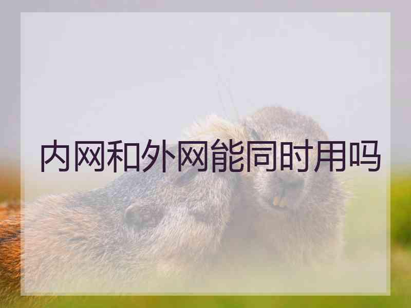 内网和外网能同时用吗