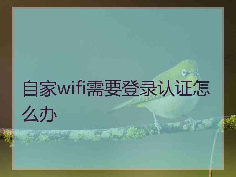 自家wifi需要登录认证怎么办