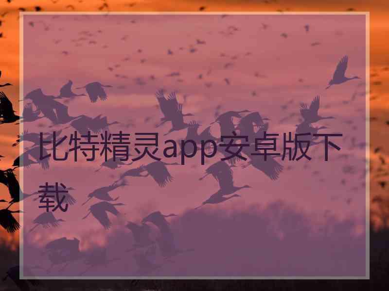 比特精灵app安卓版下载