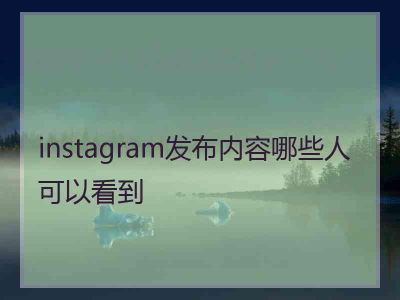 instagram发布内容哪些人可以看到