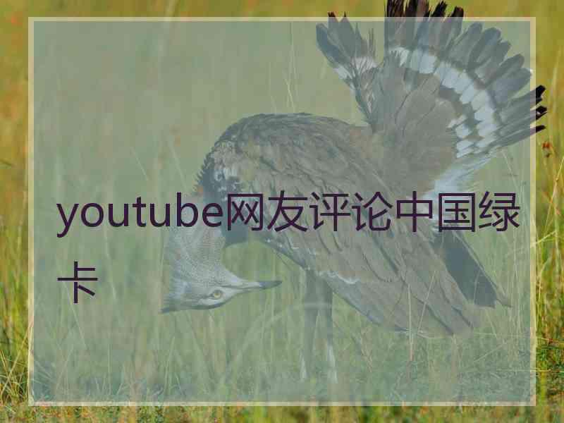youtube网友评论中国绿卡