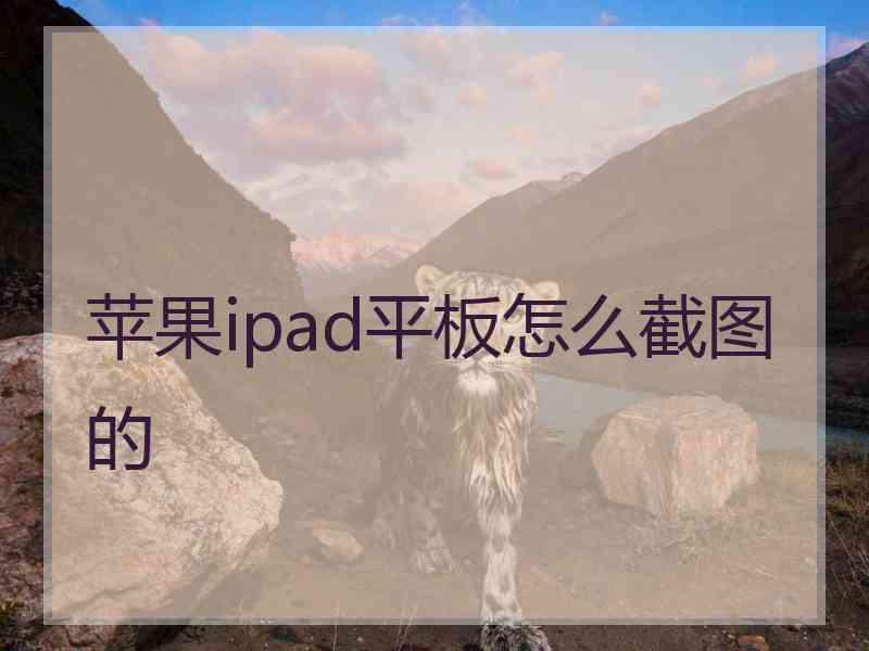 苹果ipad平板怎么截图的
