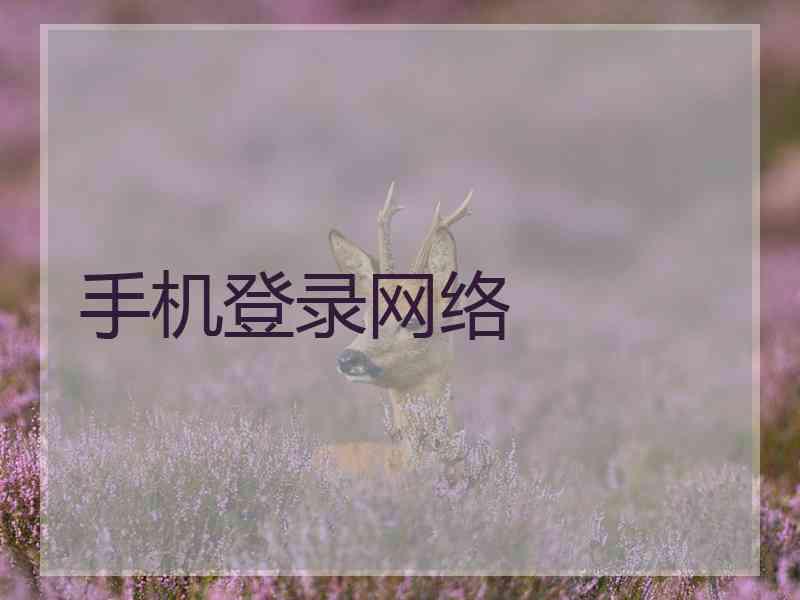 手机登录网络