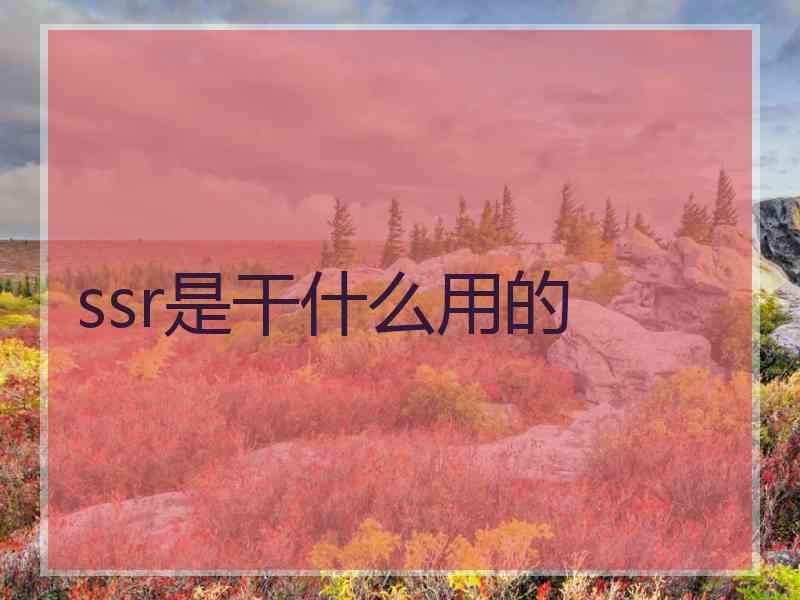 ssr是干什么用的