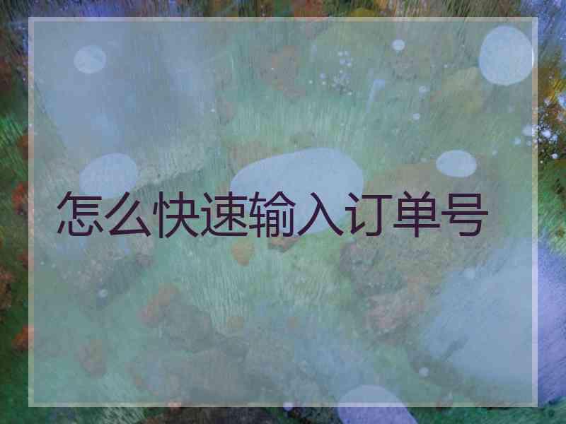 怎么快速输入订单号