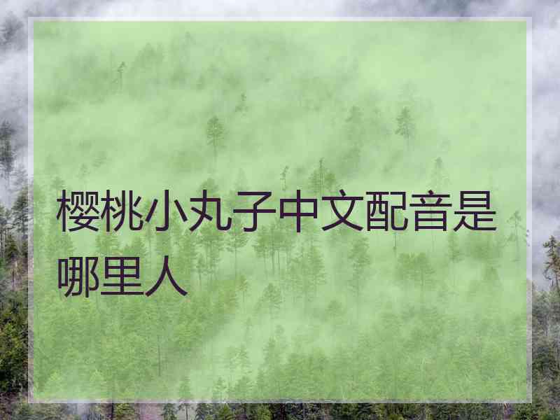 樱桃小丸子中文配音是哪里人