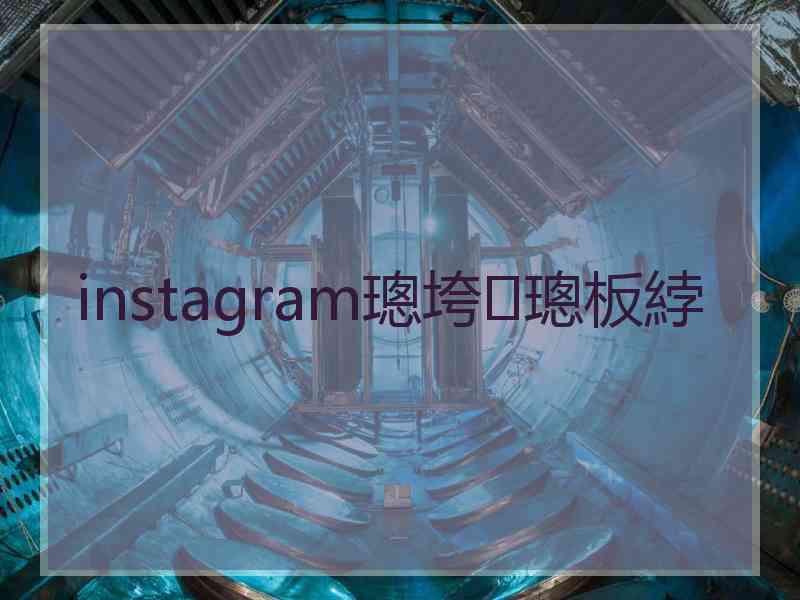 instagram璁垮璁板綍