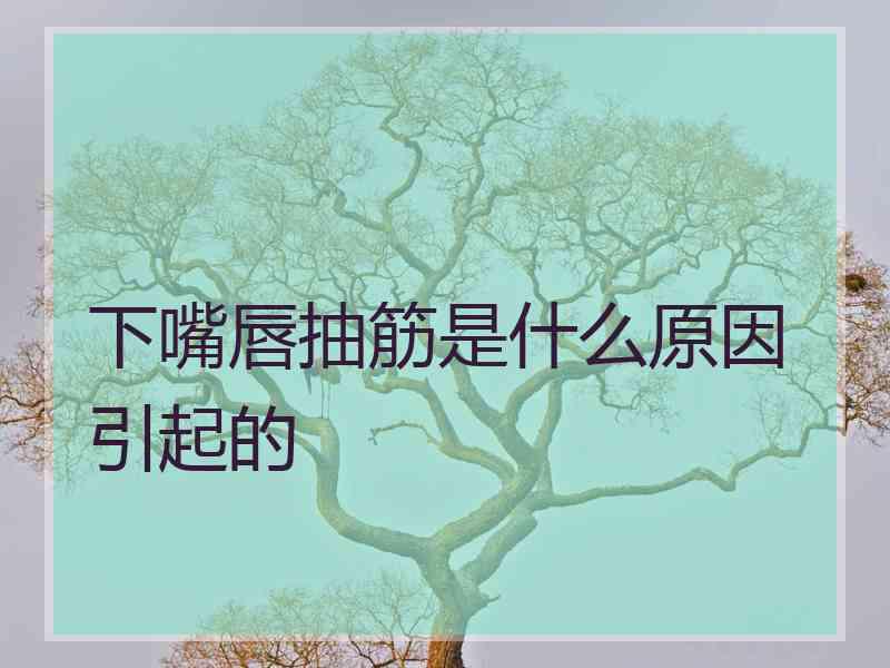 下嘴唇抽筋是什么原因引起的