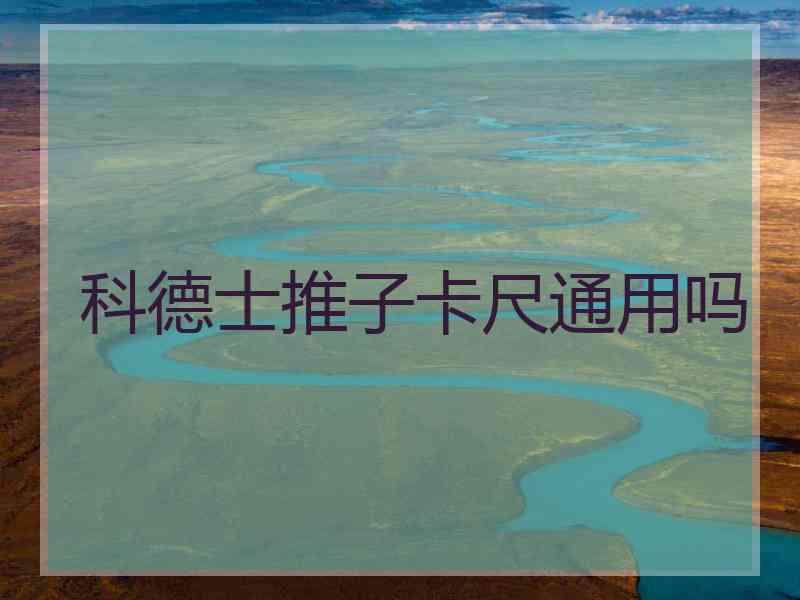 科德士推子卡尺通用吗