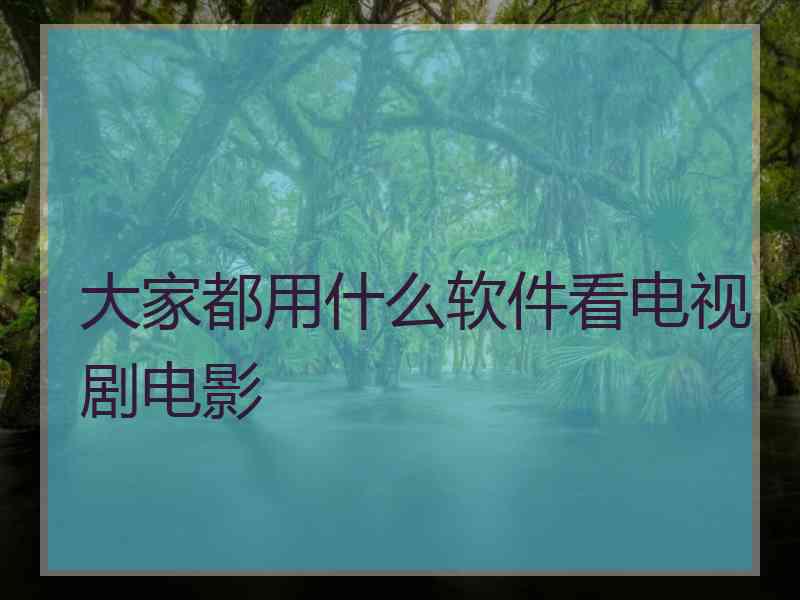 大家都用什么软件看电视剧电影