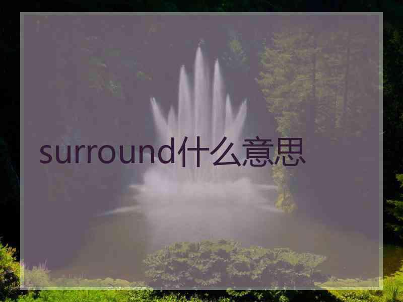 surround什么意思