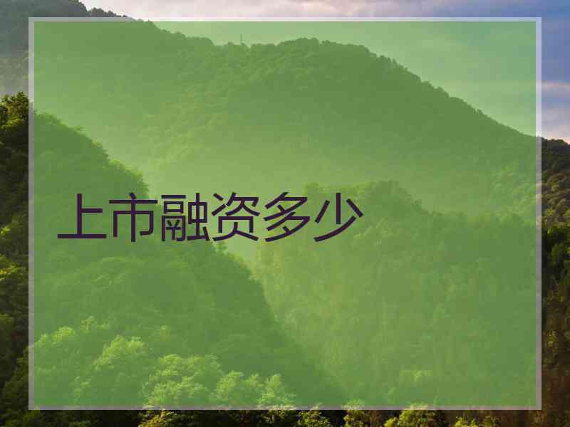 上市融资多少