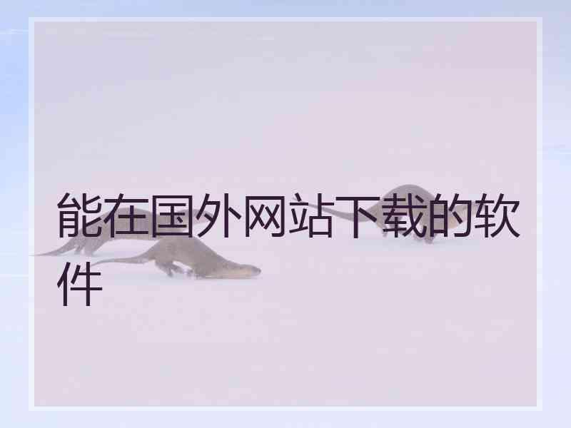 能在国外网站下载的软件