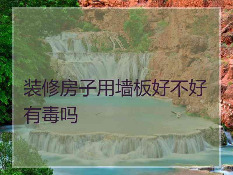 装修房子用墙板好不好有毒吗
