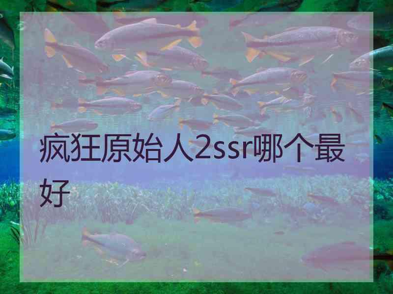 疯狂原始人2ssr哪个最好