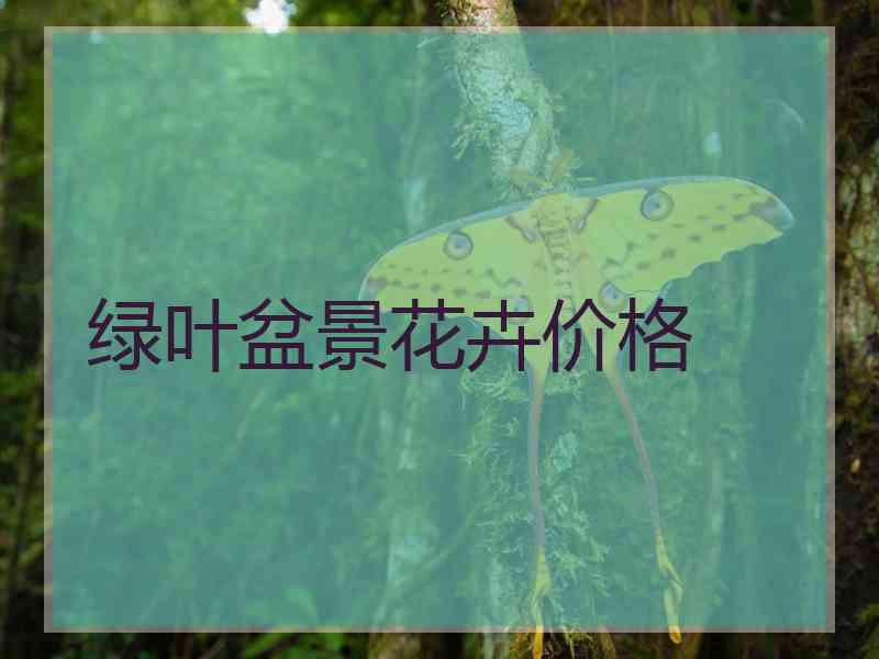 绿叶盆景花卉价格