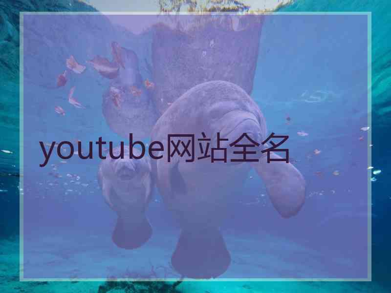 youtube网站全名
