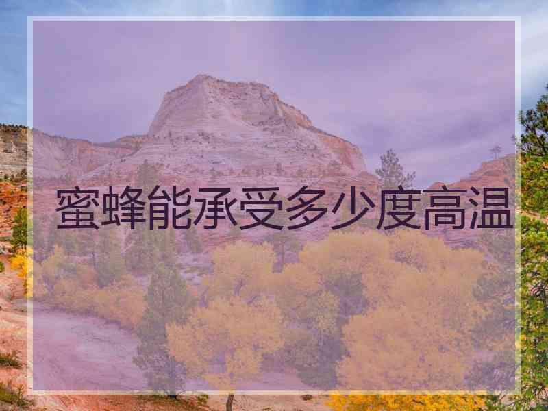 蜜蜂能承受多少度高温