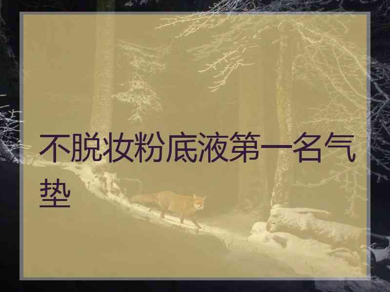 不脱妆粉底液第一名气垫