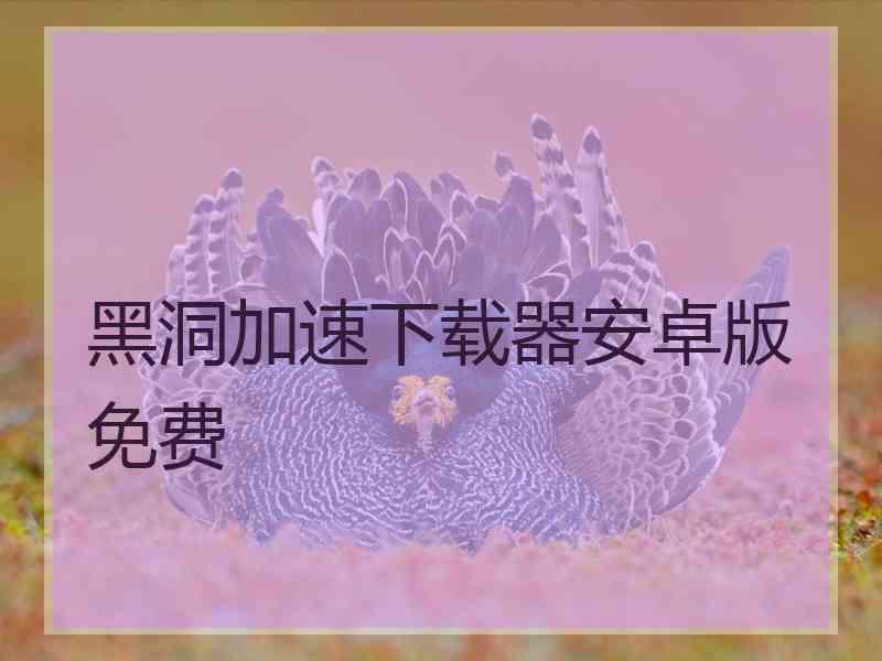黑洞加速下载器安卓版免费
