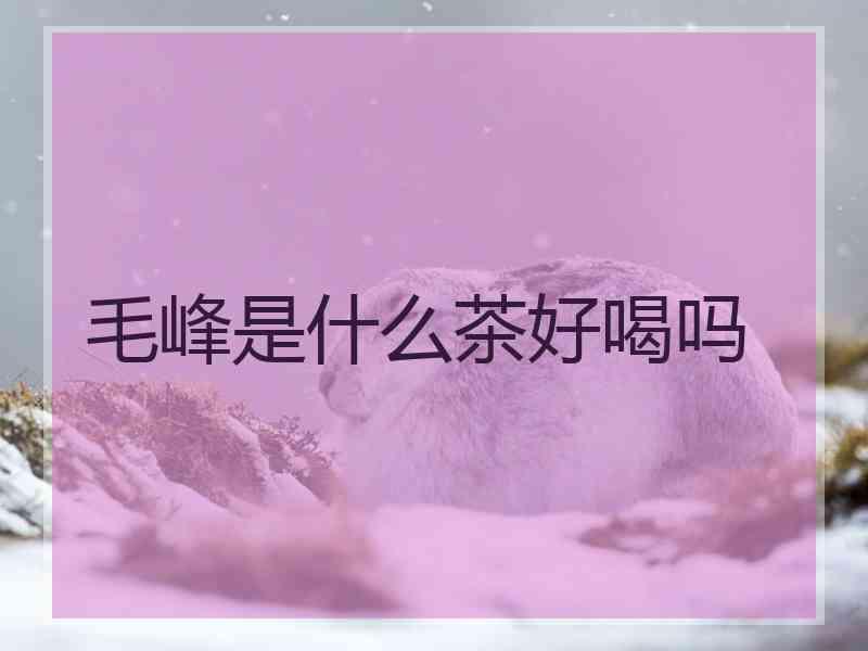 毛峰是什么茶好喝吗