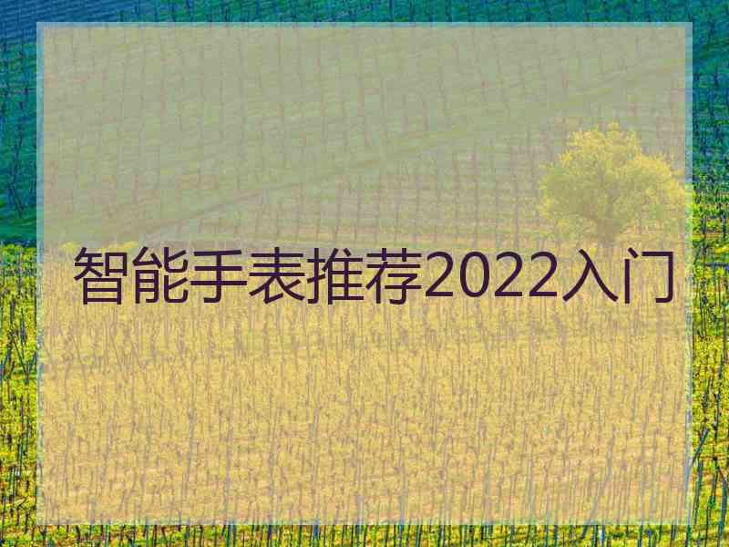 智能手表推荐2022入门