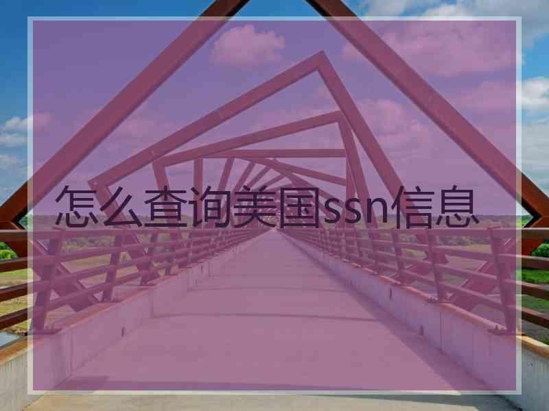 怎么查询美国ssn信息