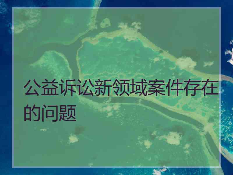 公益诉讼新领域案件存在的问题