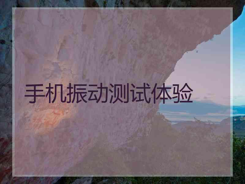 手机振动测试体验