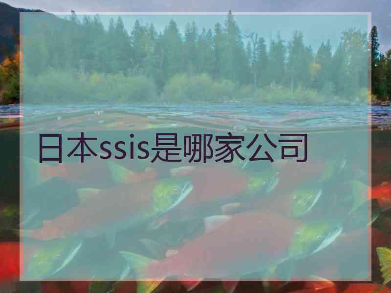 日本ssis是哪家公司