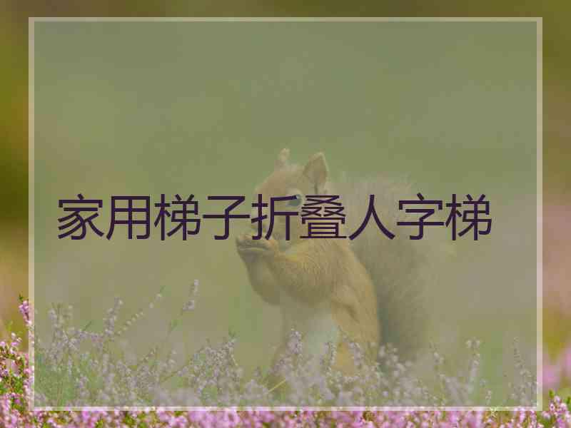 家用梯子折叠人字梯