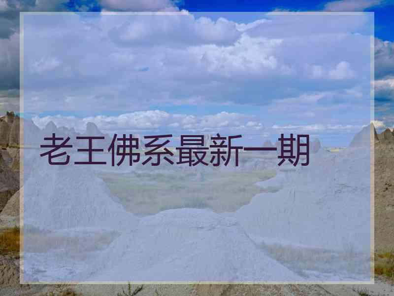 老王佛系最新一期