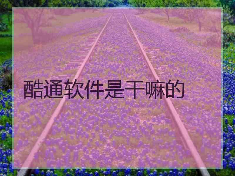 酷通软件是干嘛的