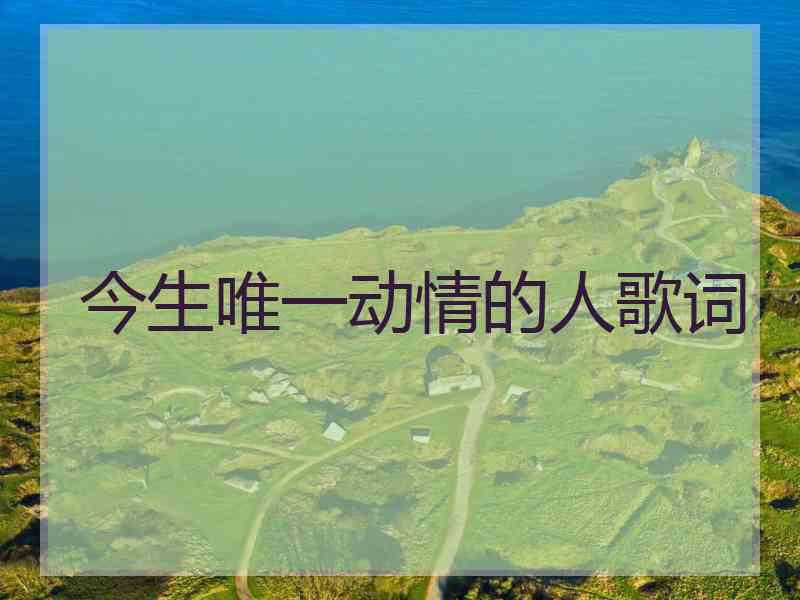 今生唯一动情的人歌词